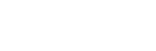 Saraswati Insurance